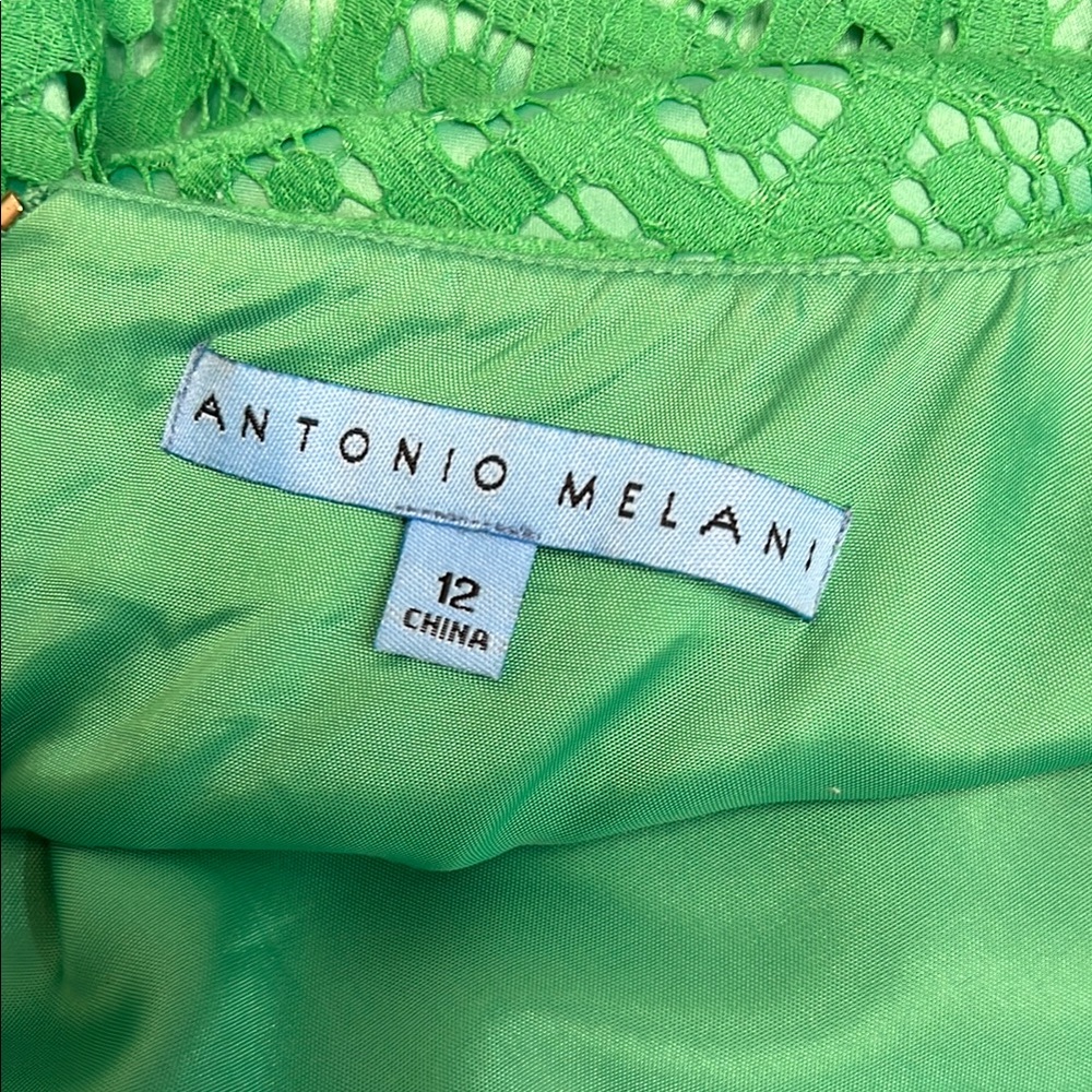 Antonio Melani Chic Green Lace Sleeveless Dress with Eyelash trim Size 12 - Picture 3 of 12